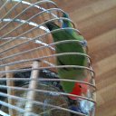 ���� ��������, ������������, 30 ��� - ��������� 7 ������ 2025