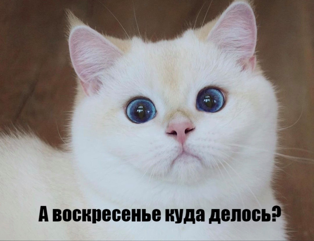       - 17  2025  11:31 - 3