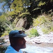 , 43 , 