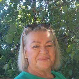 , 63, 