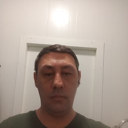 ���� �������, �����, 40 ��� - ��������� 25 ��� 2026