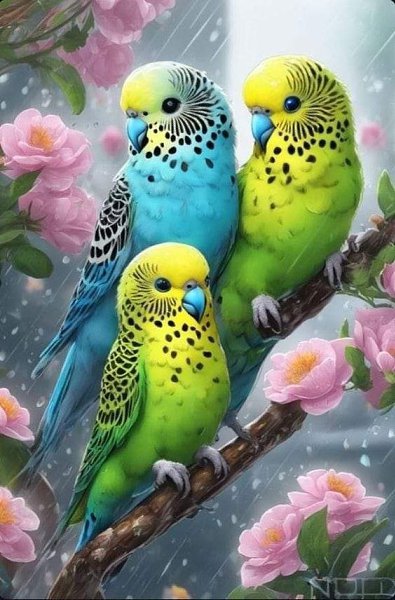 ₪╬═►  ||  ||  ◄═╬₪ - 9  2024  12:00