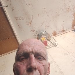 , 47 , 