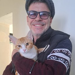 , 58, 