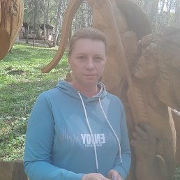 , 53, 
