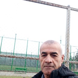 , 61, 