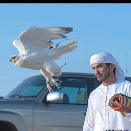 �����, ������, 48 ���