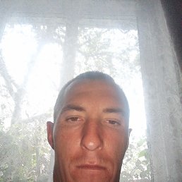 , 29, 