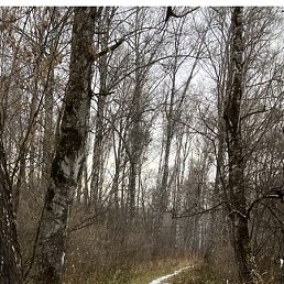 ���� 55, ����������, 80 ���