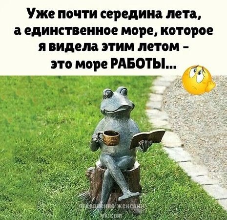   - 15  2025  09:44