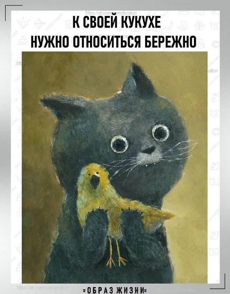 Co-Motivation.... . - 5  2025  20:13