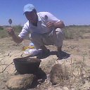 ���� *** ���� ***, Delmas - ��������� 31 ������� 2025 � ������ ���� ����������