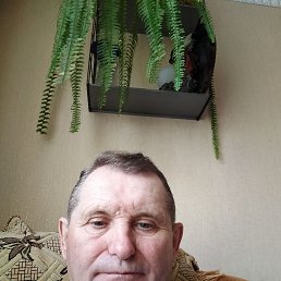 �������, 66 ���, �����������