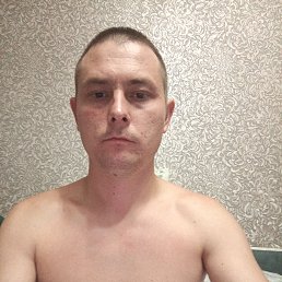 , 31,  