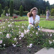 ���������, , ������