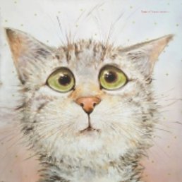 �������, ����, 45 ���