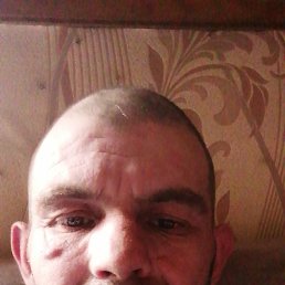 , 37 , 