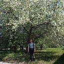 ���� �������, �����, 51 ��� - ��������� 27 ������ 2026 � ������ ���� ����������