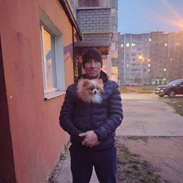 ������, 38 ���, ������