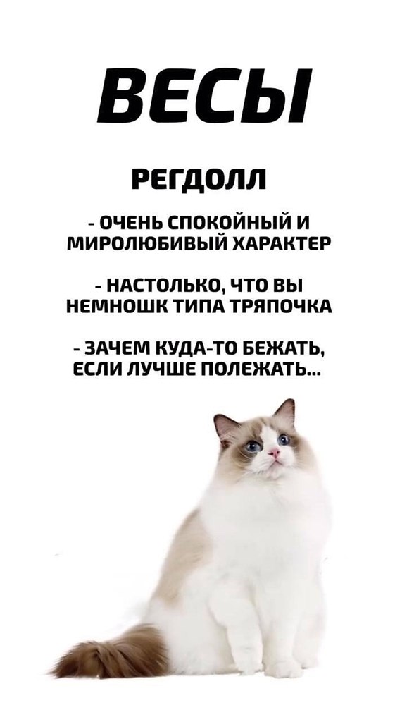       - 3