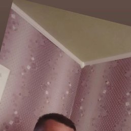 ����, �����, 44 ����