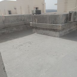 Vicky, ���-����, 25 ���
