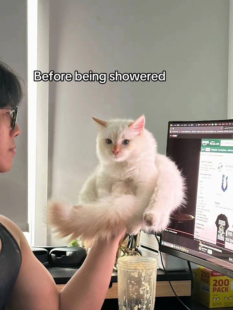 �� � �����
