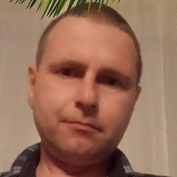 �����, ������, 46 ���