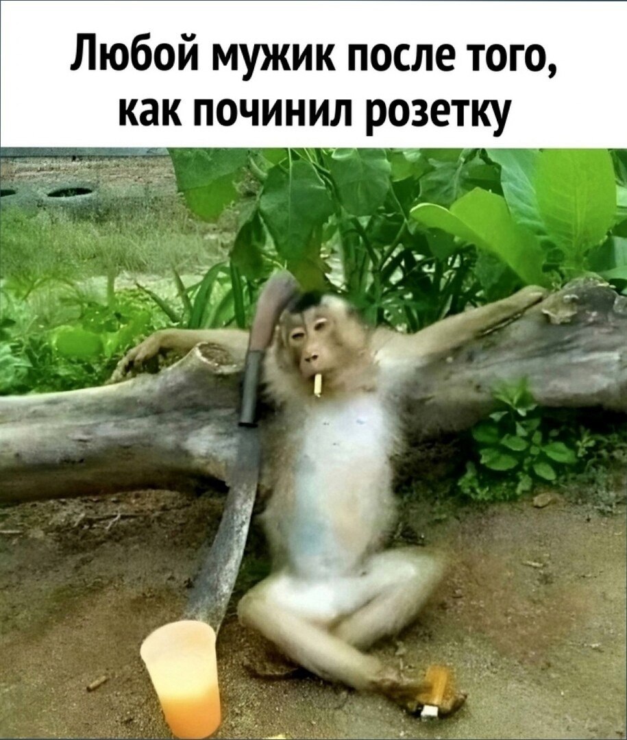  - 18  2025  20:42