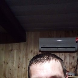 , 41, 