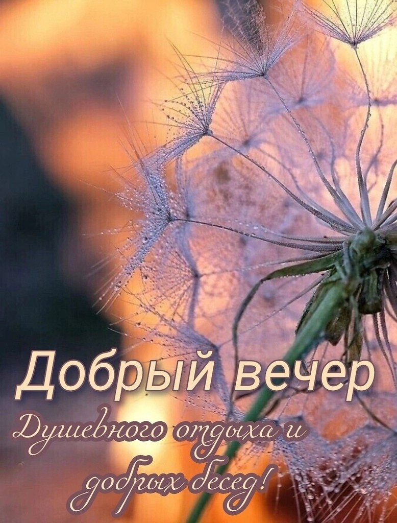 ����������� � ���������, �������� �� ������ ����. - 29 ��� 2026 � 17:02