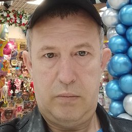 ����, �����-���������, 43 ����