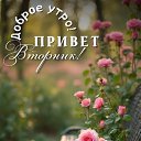  Zv   !!! V,  -  26  2025    