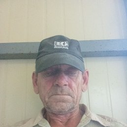 , 61 , 
