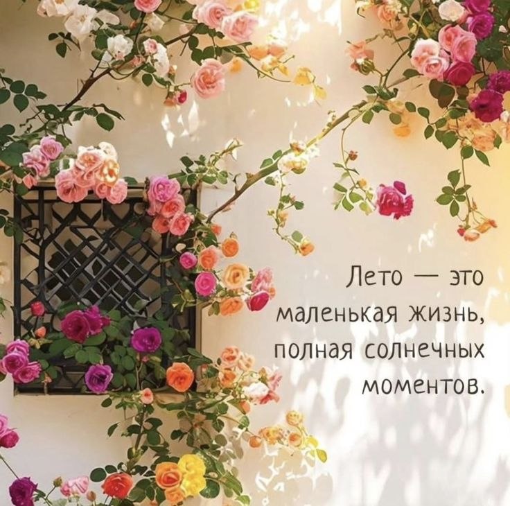 �������� ������ - 2 ���� 2026 � 17:07