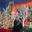 ���� ��������, �����, 28 ��� - ��������� 28 ������ 2025 � ������ ���� ����������
