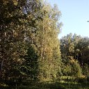���� O!, ������, 67 ��� - ��������� 11 ������ 2026 � ������ �Q�