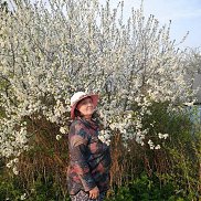 ����, 67 ���, ������