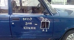 �����������