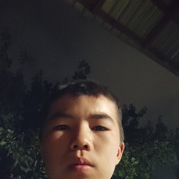 , 17, 