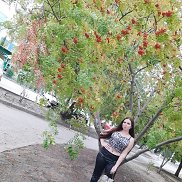 , 26 , 