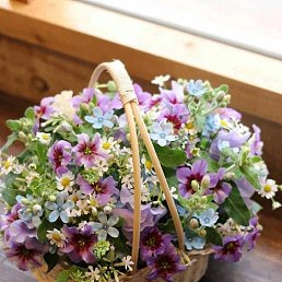 ���� ���������, ������, 59 ��� - ��������� 22 ������� 2024