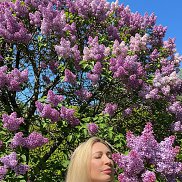 ����, 44 ����, ������