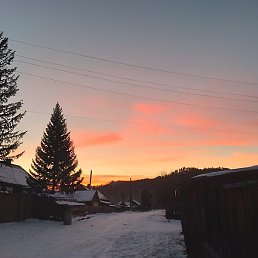 ����, �������, 39 ���