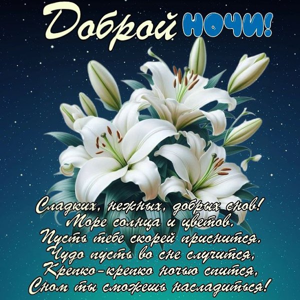 ����� - 24 ������� 2026 � 00:02