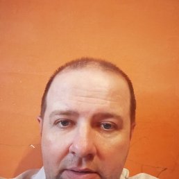 , 41, 