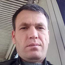 ����, ������, 40 ���