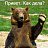 Orso C Wilami Mt