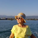 ���� Ton Amour, ������� - ��������� 20 ������ 2026 � ������ ���� ����������