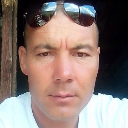 �������� �����, ������, 41 ���